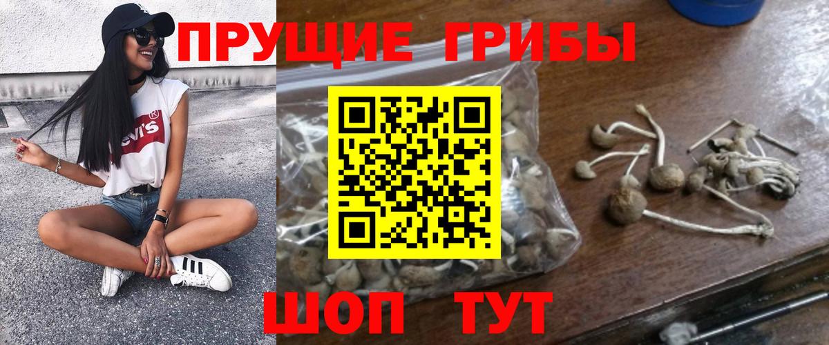 Галлюциногенные грибы Psilocybe  Вход с VPN  Добрянка 