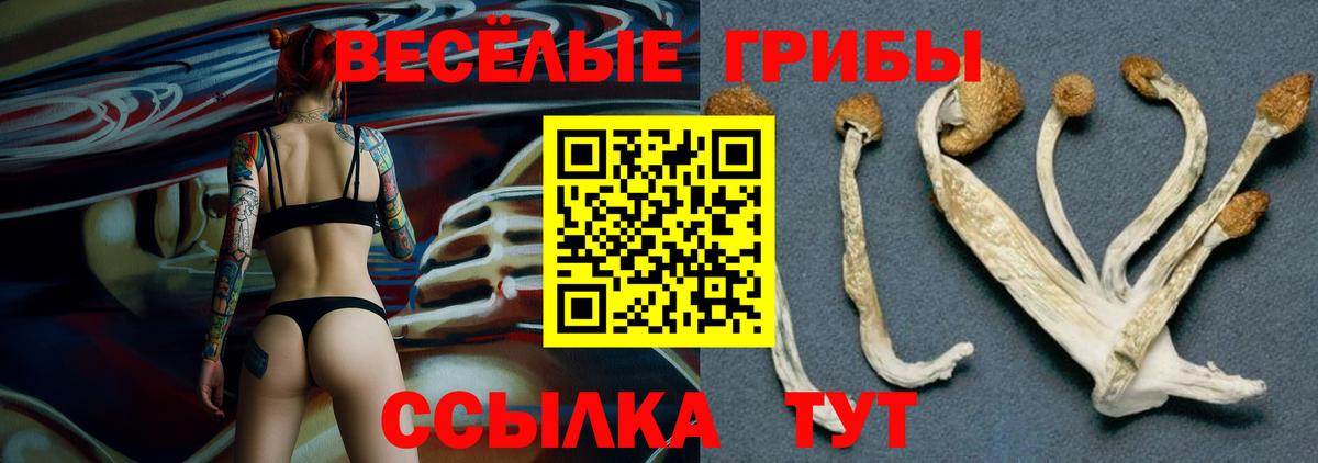 Галлюциногенные грибы MAGIC MUSHROOMS Добрянка